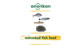 extruded fish feed, fish feed, animal feed, fishery, trout feed, se bass feed, sea bream feed, fish farm, fish farming
