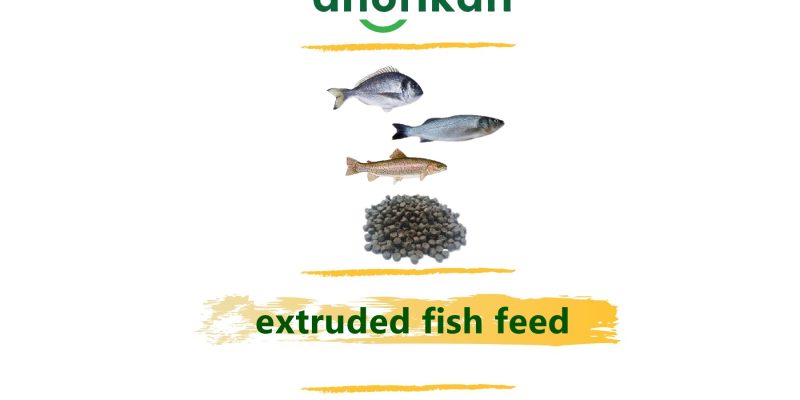 extruded fish feed from turkey