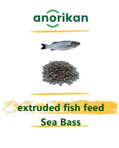 sea bass, sea bass fish, sea bass feed, fish feed, extruded fish feed, fish farm, fish farming, sea bas farm, sea bass farming
