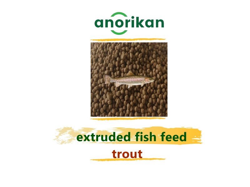trout, trout fish, trout feed, fish feed, extruded fish feed, animal feed, fish farm, fish farming