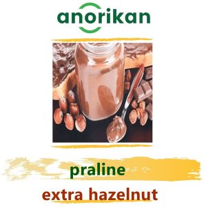 extra hazelnut praline for pastry