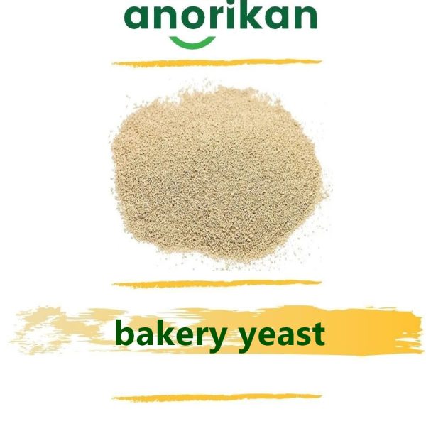 bakery yeast for the related industries