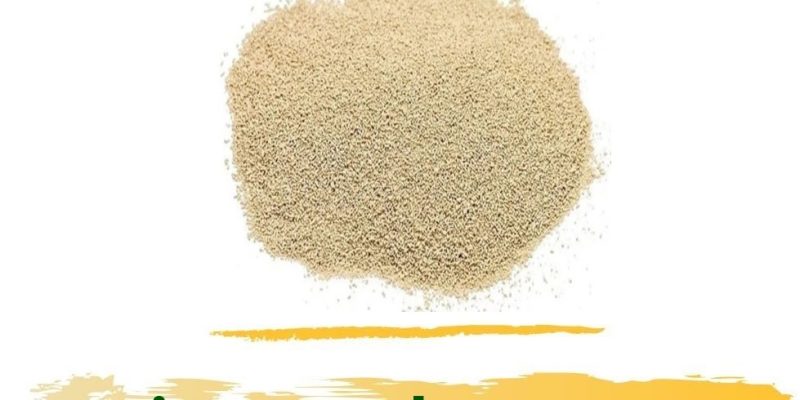 instant dry yeast for bakery