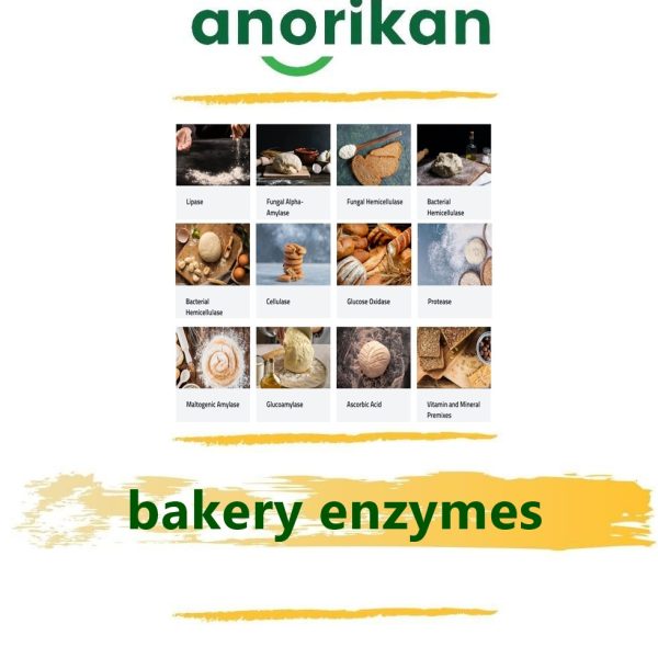 fırıncılık endüstrisine yönelik enzimler, vitaminler, mineraller