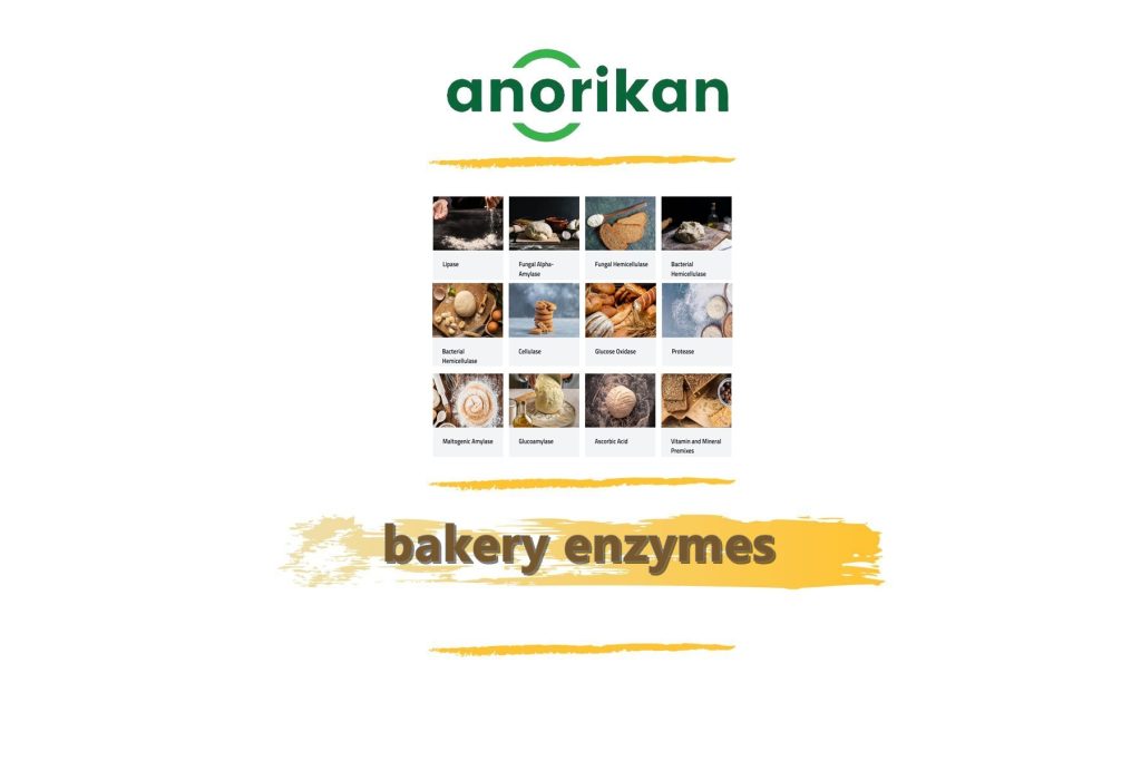bakery enzymes vitamins minerals